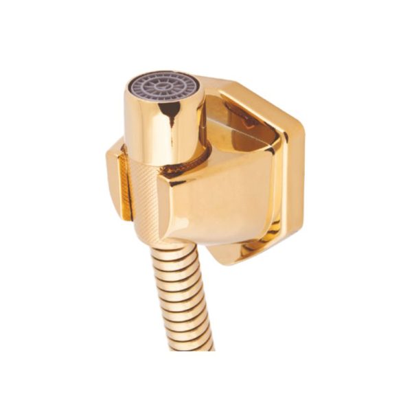 Z017704 Nasimhose Gold