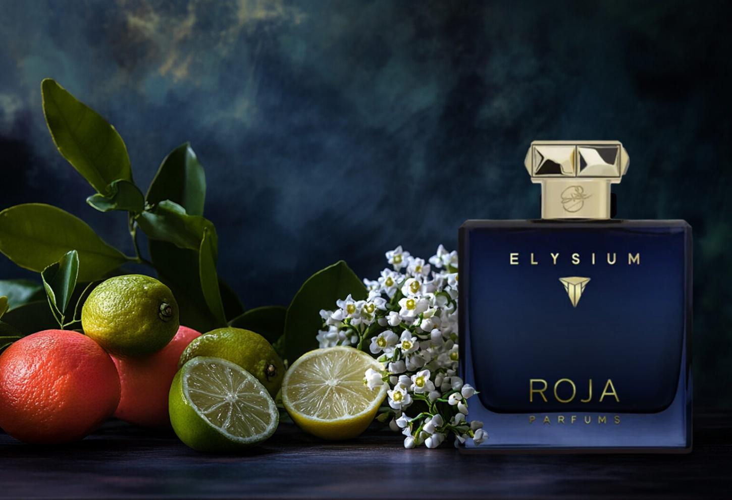 ادکلن مردانه Roja Dove Elysium Pour Homme - بهترین ادکلن های مردانه